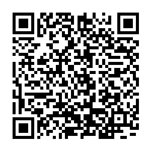 但也时刻都在关注着神蚕的进展……一直到神蚕飞身进入了魔刀的魔焰之中二维码生成