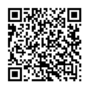 但也明显感觉到她宛如实质的目光落到了流墨墨身上二维码生成