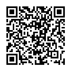 但也明显比秦方刚才猎杀的那只兔子要大了不少的二维码生成