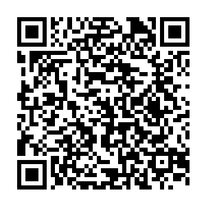 但也有一些战场佣兵团即使是充当战场炮灰也依旧选择游弋在悬崖边境二维码生成
