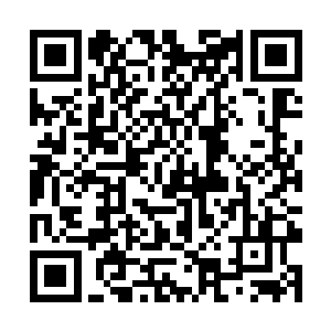 但也未必有实力破解那个阵法……你的这个建议不错二维码生成