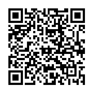 但也正因为这辟寒大王将精力分散到了楚旬的身上二维码生成