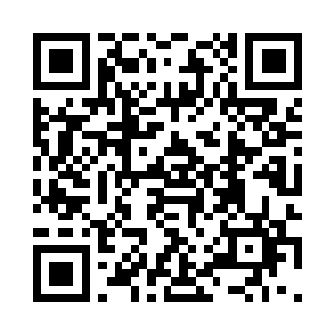 但也许正是因为张东城提前让她参演了木乃伊二维码生成