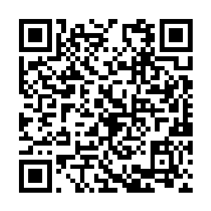 但也还是吸入了那么一点点腥臭气息的……只不过二维码生成