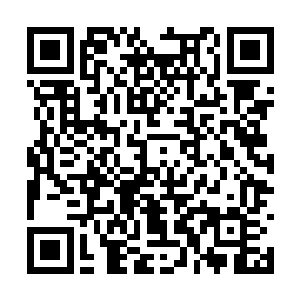 但也非常清楚地球上绝不可能出现这样美丽的大鱼二维码生成