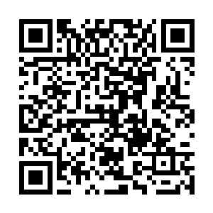 但习惯跟着凌兰行动的他们毫不犹豫地停下了脚步二维码生成