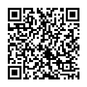 但事实上却是涅盘乐队最大的对手枪炮与玫瑰的主唱艾克索二维码生成