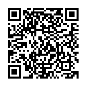 但云仙宗的威严也不是一个刚刚飞升成仙的臭小子可以挑衅的二维码生成
