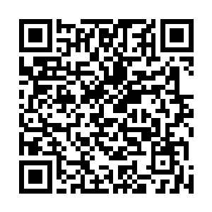 但五兄弟的神魂都有控魂中流墨墨分拨的血妖姬之力保护二维码生成