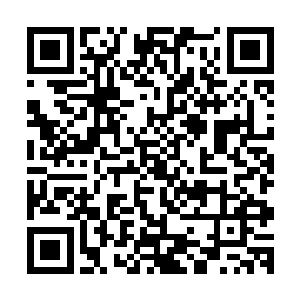 但人家这七色神君之一跟赤火这老货的实力水准却是差天共地二维码生成