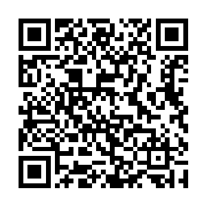 但人族藏匿在那浮陆上的伏兵给他们的诱惑实在太大二维码生成