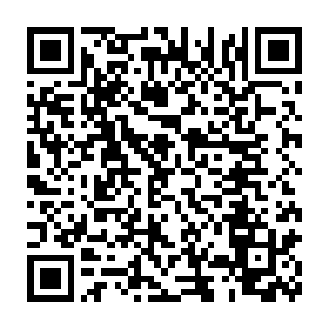 但人类从未经过这片土地真正主人的同意就在地球上私自划分国家二维码生成
