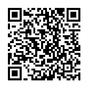 但人类有着独特的地位--谁让国主和国母都是人类二维码生成