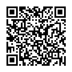 但仍然想看看陈思远究竟想以什么理由编排我的不是二维码生成