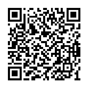 但仍然清晰地看到其内一只小小昆虫多半个身子二维码生成