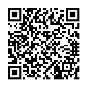 但从没有放松过对工藤正冈和其他人的秘密监视二维码生成