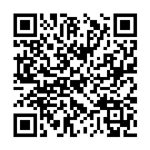 但仔细看就会发现它们似乎是在遵循某种规律行进二维码生成