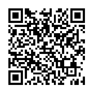 但他一样是在一瞬间就将五个人全部抓入到了森罗万象之中二维码生成