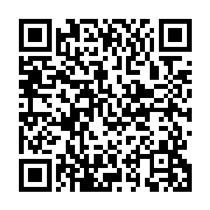 但他也逃脱不了变态者的宿命――一定是长期的心理压抑二维码生成