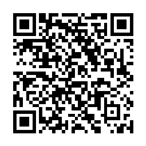 但他们两个仿佛是太想要在禹王等人面前表现自己了二维码生成