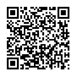但他们也总算顺利的完成了叶秋给他们下达的任务二维码生成