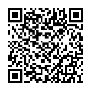 但他们出门还是都会携带有自己势力特点的东西二维码生成