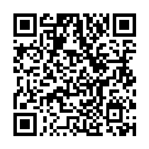 但他们却跨越了碳基智慧生命用亿万年才走完的旅程二维码生成