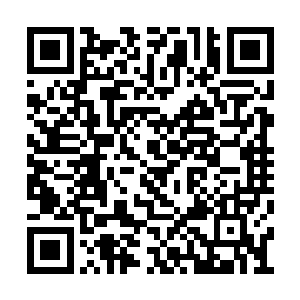 但他们向来以监督这个国家和社会不犯错为己任二维码生成