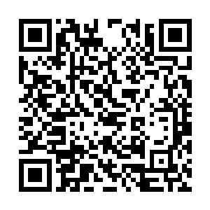 但他们所有人却看见了那三名护法在进入禁地之后二维码生成