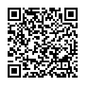 但他们的体质曾被剑尘用千年年份的百草酿液改造过二维码生成