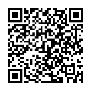 但他们的实验品大部分没超过两百年就出现了破损二维码生成