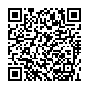 但他们知道雨果依靠自己的实力赢得了这份工作二维码生成