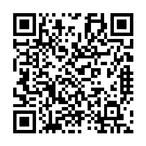 但他们要做的就是尽量不要让任何一个翼族人靠近夏天二维码生成