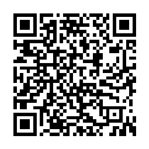 但他到底也不是不学无术不知无谓的贵裔公子哥二维码生成