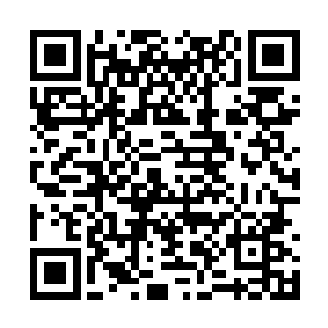 但他却不能将所有的希望都放在那些遥远的皇朝上二维码生成