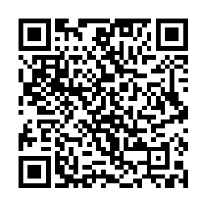 但他却很少真正发挥出一个灵环真人应有的战斗特色二维码生成