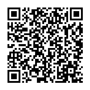 但他却无可挑剔地将泰德对于家庭的眷恋和煦而坚定地呈现了出来二维码生成