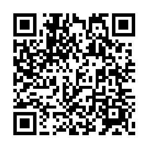 但他听出这红毛巨猿说花果山里隐藏着什么秘密二维码生成