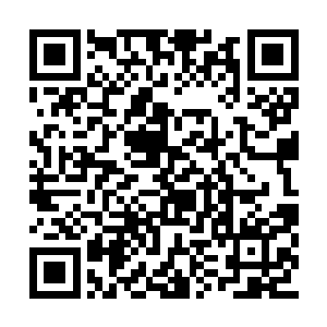 但他和西瓜头也就是狗东西勉强也算是竹马竹马二维码生成