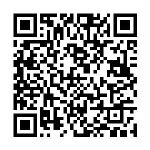 但他失望地并没有从同僚的眼睛当中看到同仇敌忾二维码生成