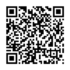 但他实在太垂涎那一对亲兄弟仙人的7日阵亡无损尸体二维码生成