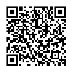 但他寝宫西北角的几株老梅却在这片冰天雪地里如火般燃烧绽放二维码生成