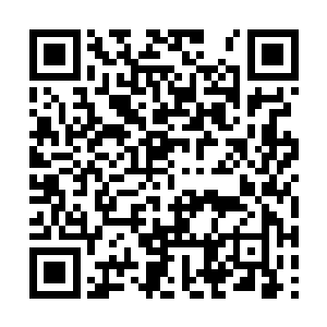 但他并不知道东方家主已经在家族外面启动了地雷二维码生成