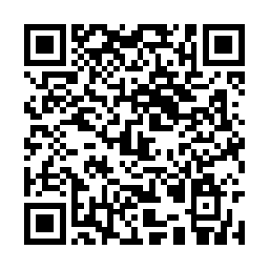 但他心里的想法是实力远超于自己的人一起坐保镖二维码生成