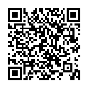 但他没想到他尽力想遮掩的一切终究还是逃不过芮阁的眼睛二维码生成