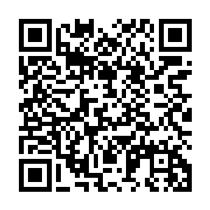 但他没想到叶尊居然厉害到可以斩杀剑士境界的高手了二维码生成