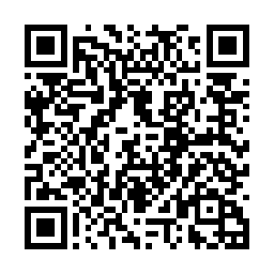 但他现在双腿不能动到时需要暗一他们背着他过去二维码生成