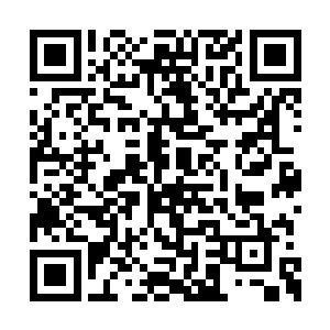 但他的实际年龄并不比流云剑阁的阁主小上多少二维码生成