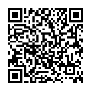 但他的神识同样时刻都在留意着整个大殿的动静二维码生成