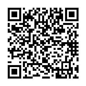 但他的识海却还是不可避免的化为了这种尸山血海的模样二维码生成